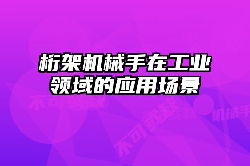 桁架機械手在工業(yè)領(lǐng)域的應用場景