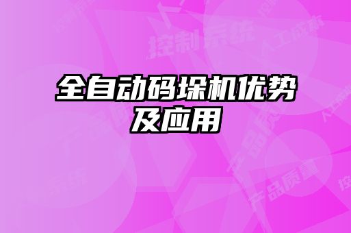 全自動碼垛機(jī)優(yōu)勢及應(yīng)用