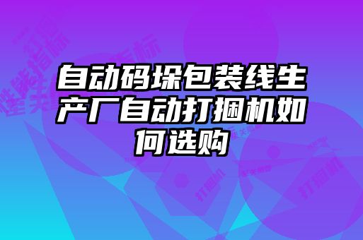 自動碼垛包裝線生產廠自動打捆機如何選購