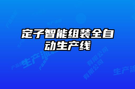 定子智能組裝全自動(dòng)生產(chǎn)線